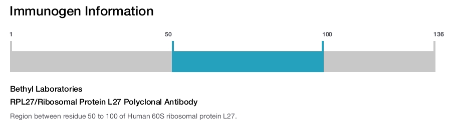 RPL27/Ribosomal Protein L27 Polyclonal Antibody