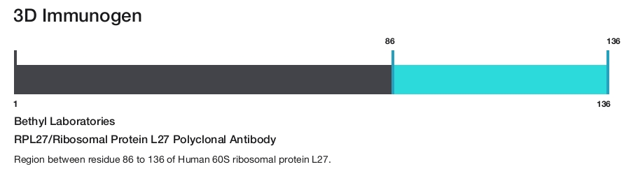 RPL27/Ribosomal Protein L27 Polyclonal Antibody