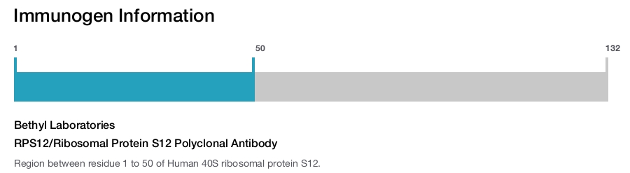 RPS12/Ribosomal Protein S12 Polyclonal Antibody