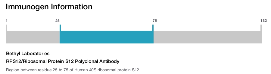 RPS12/Ribosomal Protein S12 Polyclonal Antibody