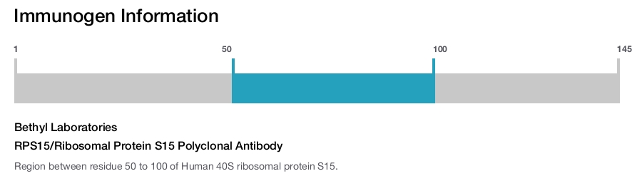 RPS15/Ribosomal Protein S15 Polyclonal Antibody