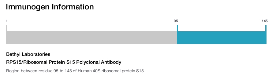 RPS15/Ribosomal Protein S15 Polyclonal Antibody