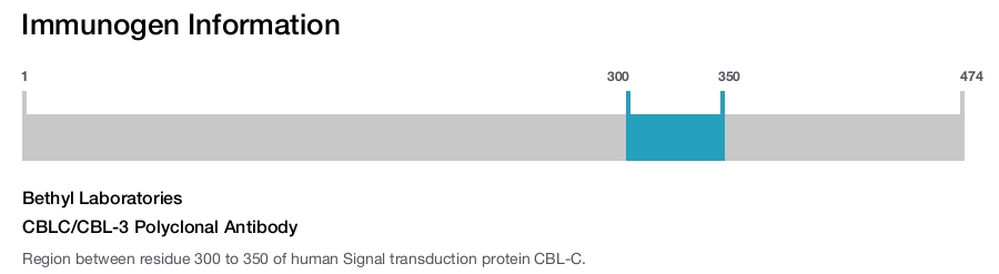 CBLC/CBL-3 Polyclonal Antibody