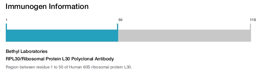 RPL30/Ribosomal Protein L30 Polyclonal Antibody