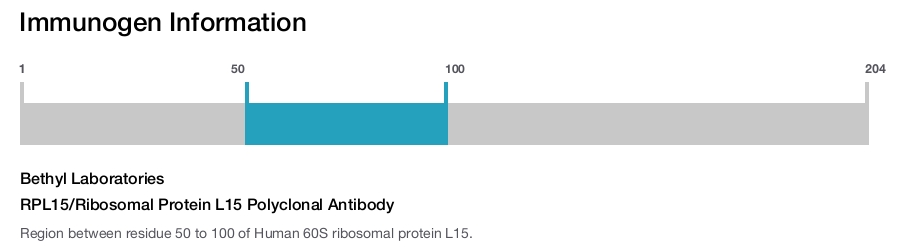 RPL15/Ribosomal Protein L15 Polyclonal Antibody