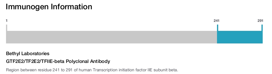 GTF2E2/TF2E2/TFIIE-beta Polyclonal Antibody