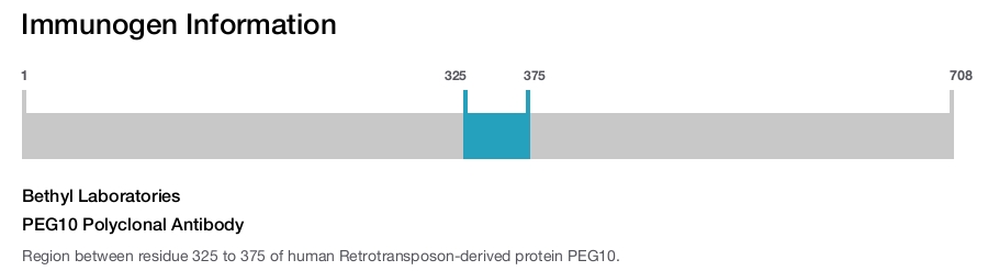 PEG10 Polyclonal Antibody