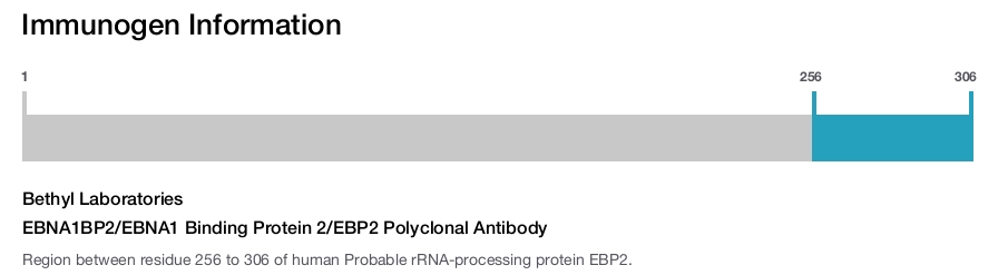 EBNA1BP2/EBNA1 Binding Protein 2/EBP2 Polyclonal Antibody