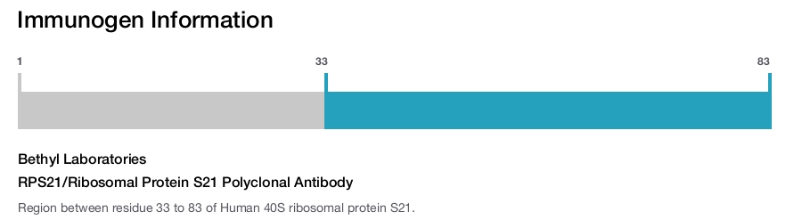 RPS21/Ribosomal Protein S21 Polyclonal Antibody