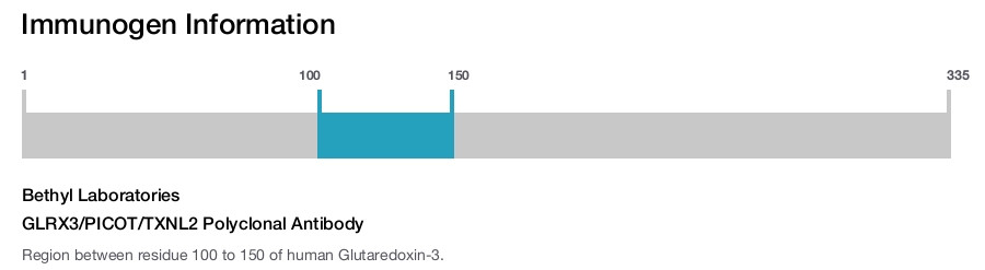 GLRX3/PICOT/TXNL2 Polyclonal Antibody