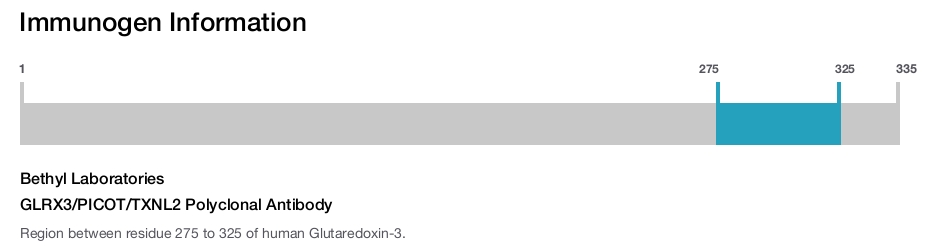 GLRX3/PICOT/TXNL2 Polyclonal Antibody
