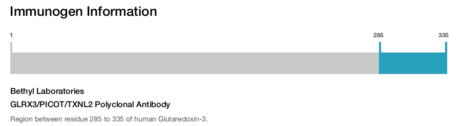 GLRX3/PICOT/TXNL2 Polyclonal Antibody