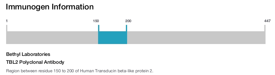 TBL2 Polyclonal Antibody