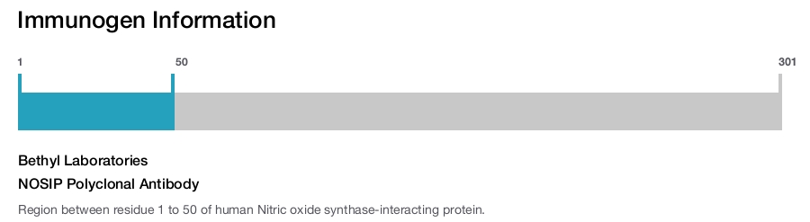 NOSIP Polyclonal Antibody