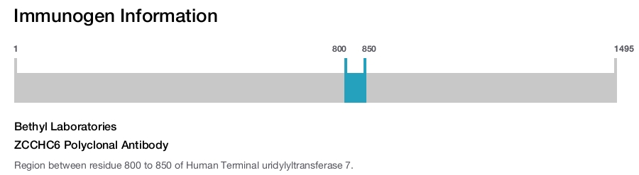 ZCCHC6 Polyclonal Antibody