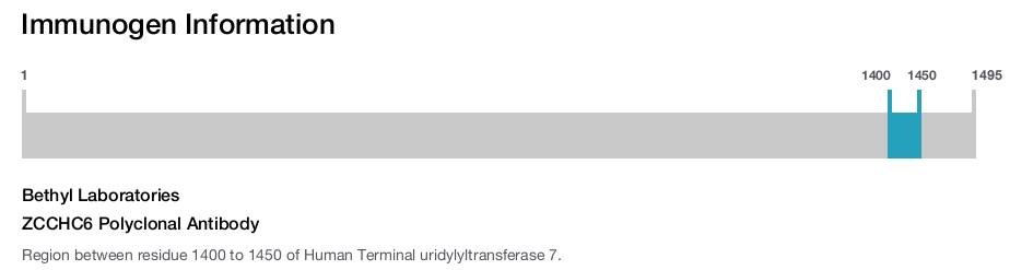 ZCCHC6 Polyclonal Antibody