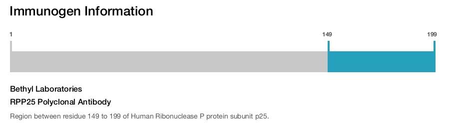 RPP25 Polyclonal Antibody