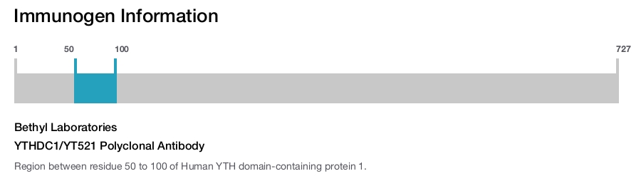 YTHDC1/YT521 Polyclonal Antibody