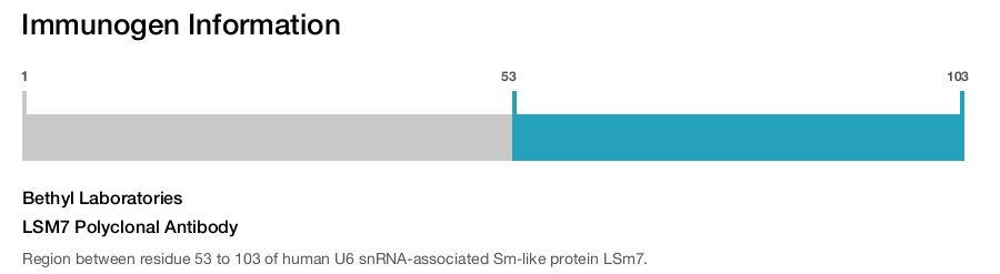 LSM7 Polyclonal Antibody