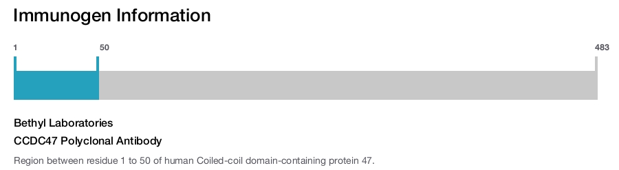 CCDC47 Polyclonal Antibody