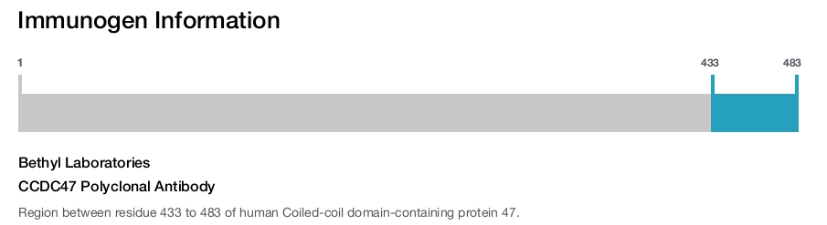 CCDC47 Polyclonal Antibody