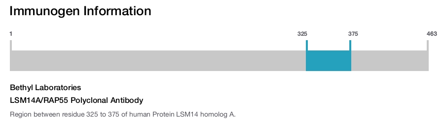 LSM14A/RAP55 Polyclonal Antibody