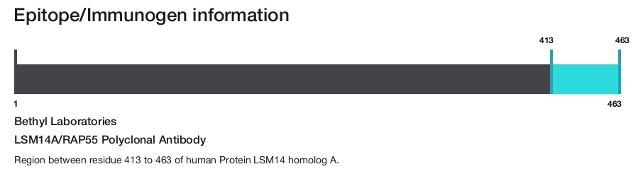 LSM14A/RAP55 Polyclonal Antibody