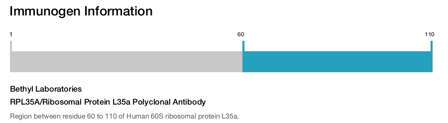 RPL35A/Ribosomal Protein L35a Polyclonal Antibody