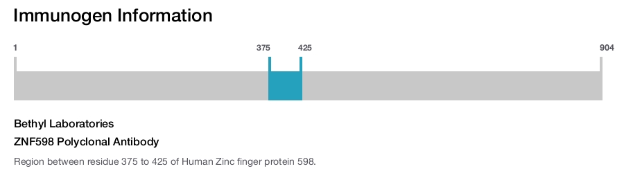 ZNF598 Polyclonal Antibody
