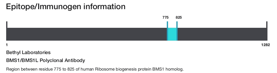 BMS1/BMS1L Polyclonal Antibody