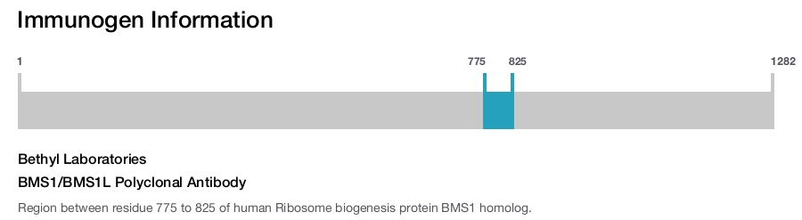 BMS1/BMS1L Polyclonal Antibody