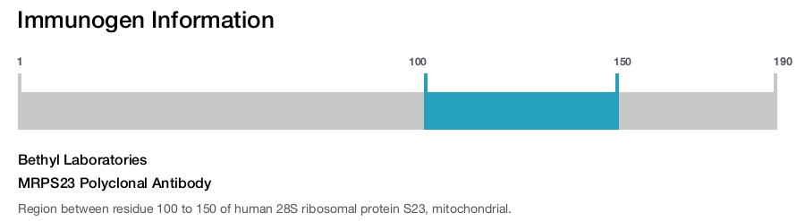 MRPS23 Polyclonal Antibody