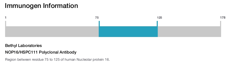 NOP16/HSPC111 Polyclonal Antibody