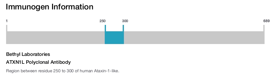 ATXN1L Polyclonal Antibody