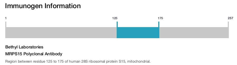 MRPS15 Polyclonal Antibody