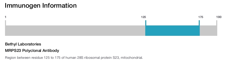 MRPS23 Polyclonal Antibody