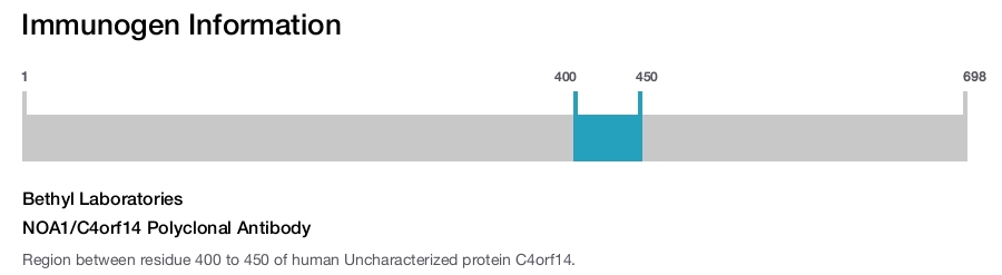 NOA1/C4orf14 Polyclonal Antibody