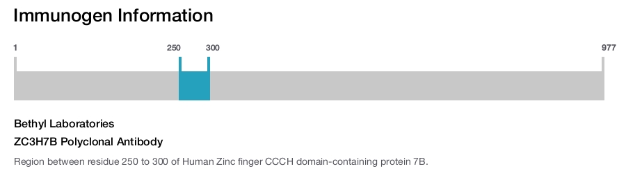 ZC3H7B Polyclonal Antibody