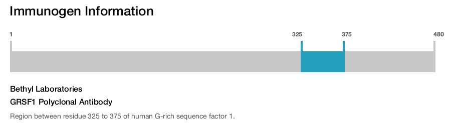 GRSF1 Polyclonal Antibody