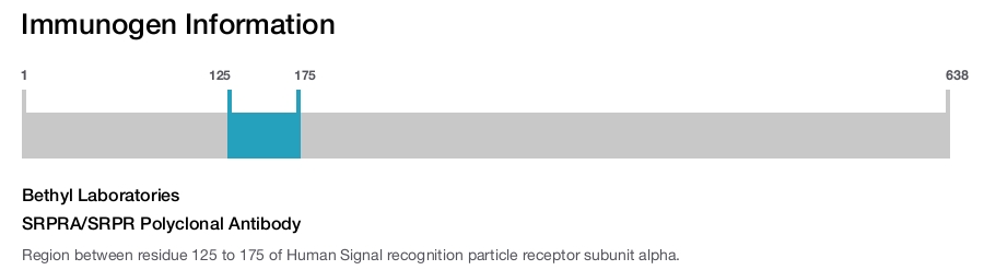 SRPRA/SRPR Polyclonal Antibody