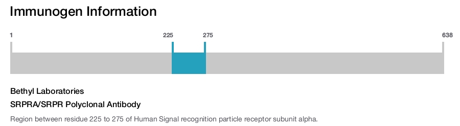 SRPRA/SRPR Polyclonal Antibody
