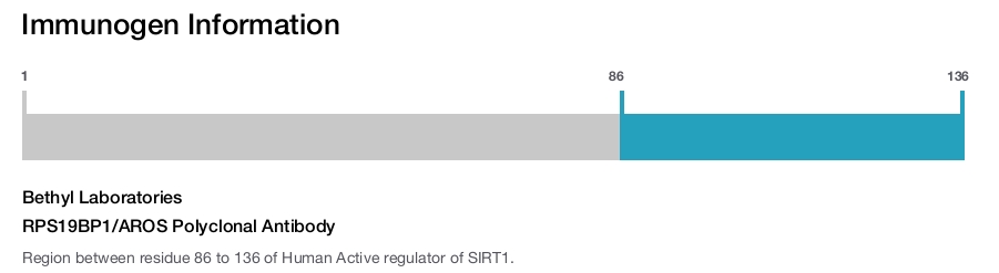 RPS19BP1/AROS Polyclonal Antibody