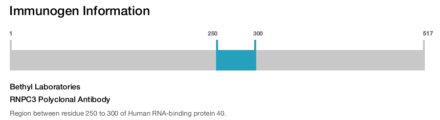 RNPC3 Polyclonal Antibody