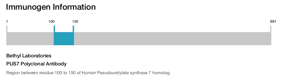 PUS7 Polyclonal Antibody