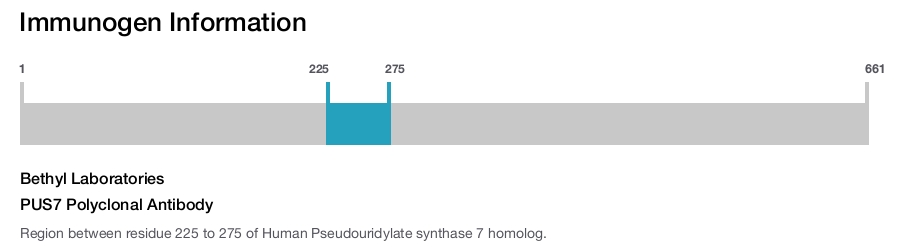PUS7 Polyclonal Antibody