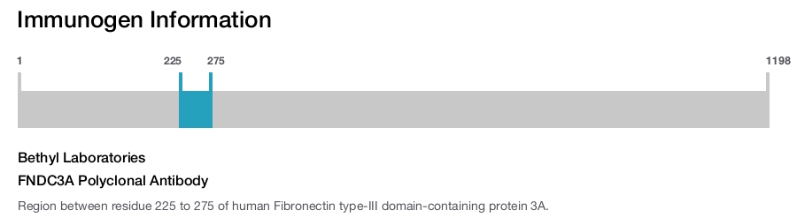 FNDC3A Polyclonal Antibody