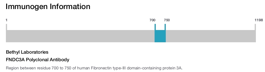 FNDC3A Polyclonal Antibody