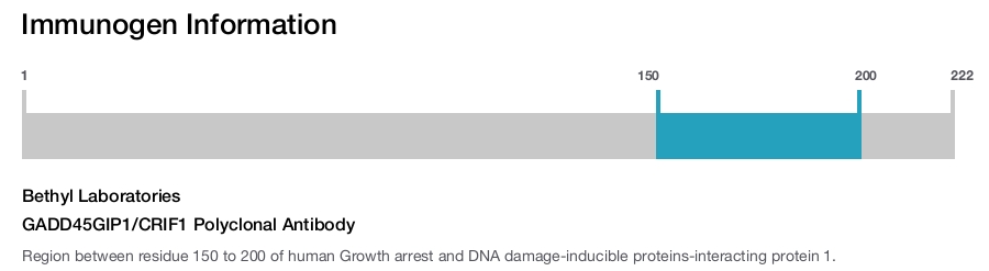 GADD45GIP1/CRIF1 Polyclonal Antibody