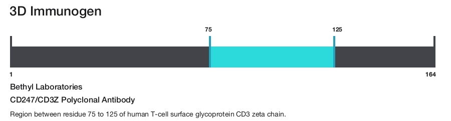 CD247/CD3Z Polyclonal Antibody