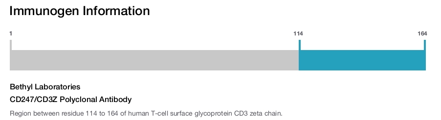 CD247/CD3Z Polyclonal Antibody